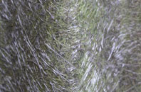 Northbridge Street fibreglass roof work